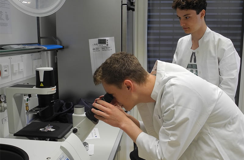 BioMedTech